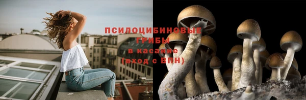 круглые Алексеевка