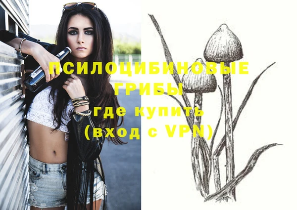 круглые Алексеевка