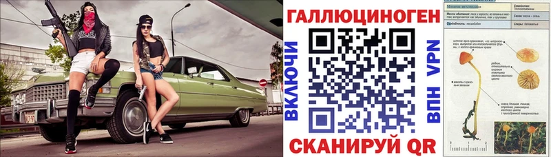 как найти наркотики  KRAKEN зеркало  Псилоцибиновые грибы Psilocybe  Болгар 